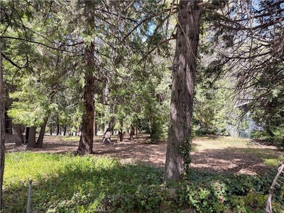 /international/us/0-cumberland-lake-arrowhead-ca-110107537776/