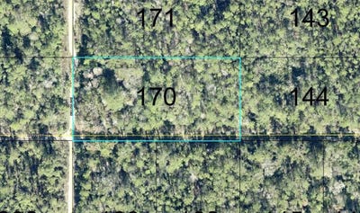 /international/us/170-dilllion-avenue-hastings-fl-110120153035/