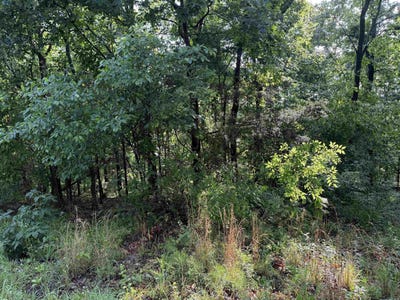 /international/us/lot-9-island-view-drive-greers-ferry-ar-110099664492/