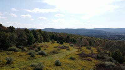 /international/us/sisson-hill-rd-unadilla-ny-110100771101/