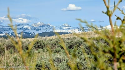 /international/us/2075-moose-path-way-tetonia-id-110099737716/