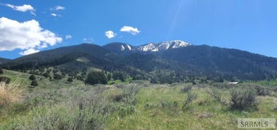 /international/us/151-elk-path-swan-valley-id-110108063833/
