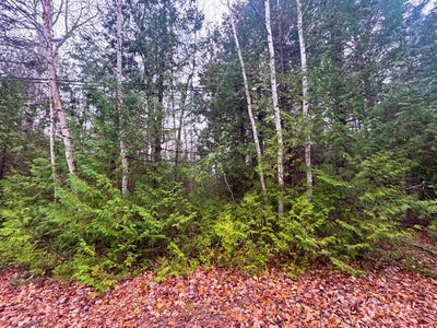 /international/us/e-grand-lake-road-lot-14-presque-isle-mi-110103375419/