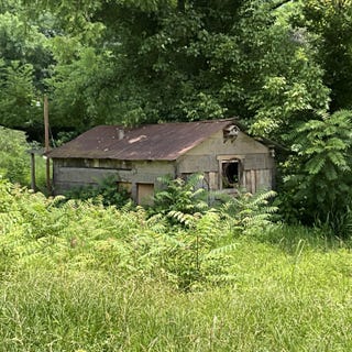 /international/us/112-county-road-355-thayer-mo-110100896581/