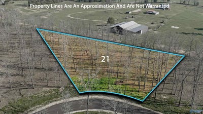 /international/us/garrett-street-lot-21-rainsville-al-110107169495/