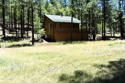 /international/us/2509-deer-ridge-drive-happy-jack-az-110108470262/