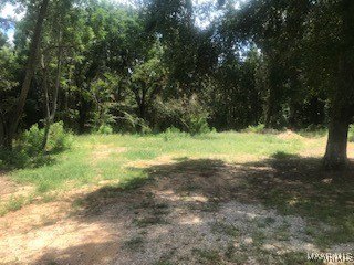 /international/us/303-daniel-branch-road-highland-home-al-110097772542/