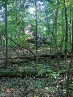 /international/us/2-boulder-drive-dunlap-tn-110092479409/
