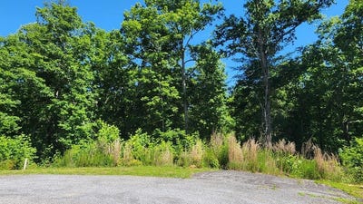 /international/us/lot-112-jakes-landing-overlook-ellijay-ga-110108604998/