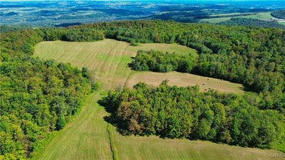 /international/us/oregon-road-lot-3-1-little-falls-ny-110102047158/