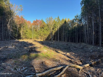/international/us/l1-112-kipple-road-sand-lake-ny-110108170823/