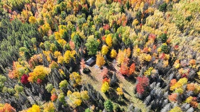 /international/us/on-reed-rd-three-lakes-wi-110120156649/