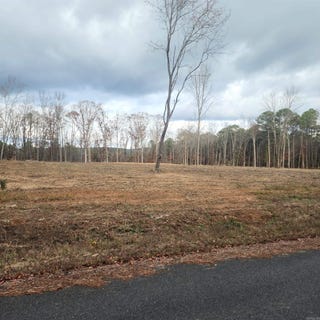 /international/us/the-bluffs-edgemont-ar-110103743128/