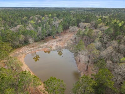 /international/us/nhn-antler-ridge-lot-b-poplarville-ms-110106142370/