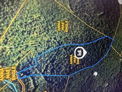 /international/us/peter-branch-of-wolf-creek-hyden-ky-110120465293/