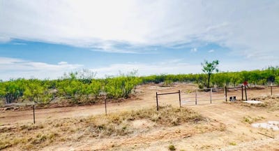 /international/us/double-mountain-estates-justiceburg-tx-110108279295/