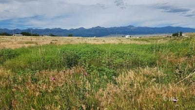 /international/us/420-belford-st-silver-cliff-co-110101138545/