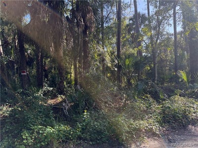 /international/us/corner-of-debra-and-shearer-inglis-fl-110119931501/