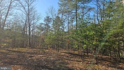 /international/us/tiger-valley-road-hyndman-pa-110109544569/