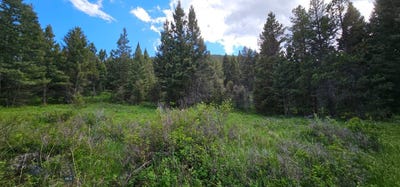 /international/us/11-tract-hall-creek-helmville-mt-110108298595/