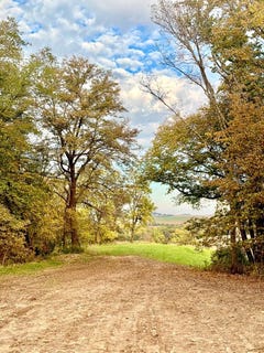 /international/us/40-acres-305th-street-malvern-ia-110106986277/