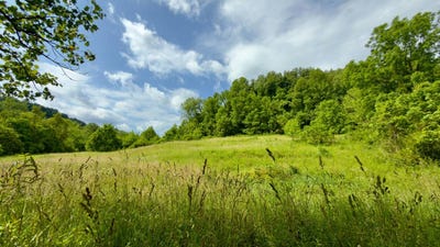 /international/us/1399-storys-run-road-chesire-oh-110108750054/