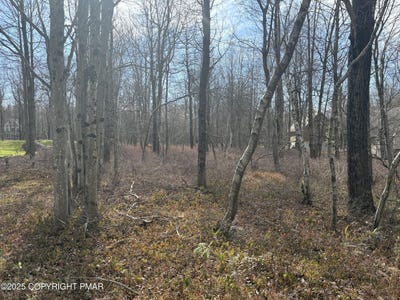 /international/us/boulder-road-lot-18-blakeslee-pa-110103325315/