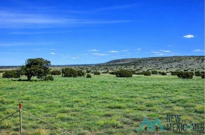 /international/us/124-deer-circle-road-quemado-nm-110106962377/
