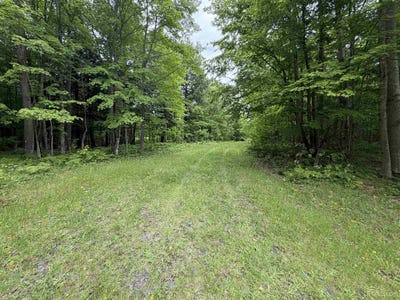/international/us/tbd25-8-skanee-road-skanee-mi-110108813300/