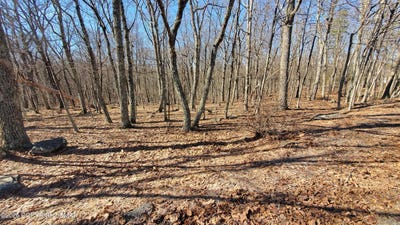 /international/us/cardinal-drive-lot-155-bushkill-pa-110106499901/