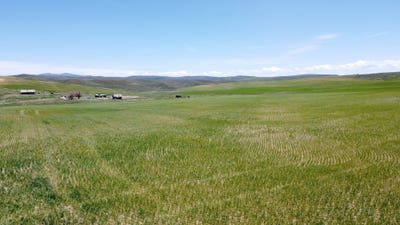 /international/us/tbd-county-road-29-craig-co-110100156921/