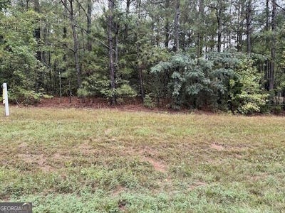 /international/us/chipley-highway-pine-mountain-ga-110110422644/