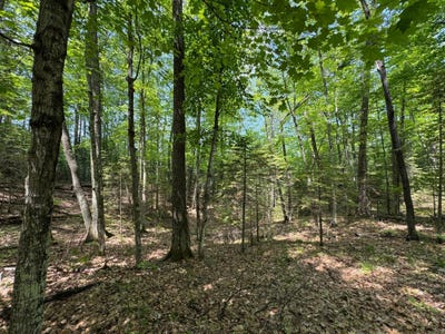 /international/us/lot-127-woodhill-ct-minocqua-wi-110100024137/