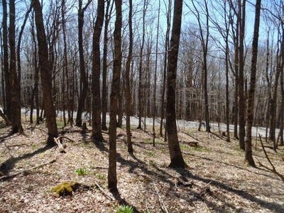 /international/us/6181-cass-road-slatyfork-wv-110106803705/