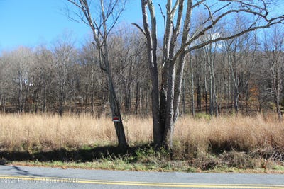 /international/us/bacontown-road-nicholson-pa-110104031043/