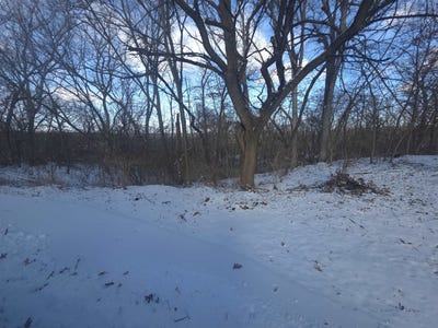 /international/us/110-w-fork-dixon-il-110105052576/