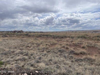 /international/us/29-county-road-6010-st-johns-az-110101680785/