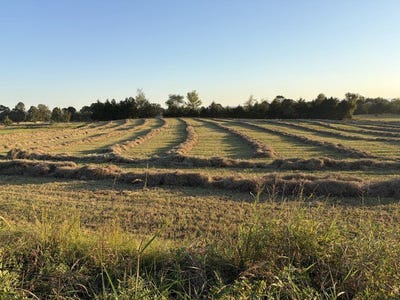 /international/us/rob-hill-road-dardanelle-ar-110120499563/