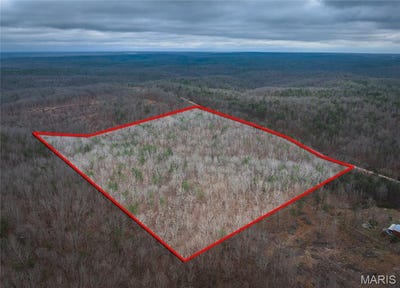/international/us/16-01-acres-pine-meadow-trail-raymondville-mo-110106338316/