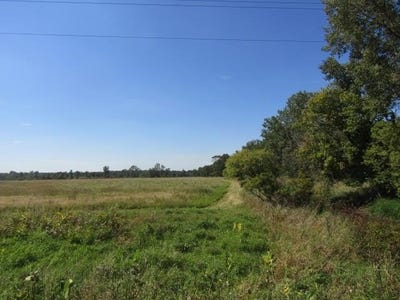 /international/us/v-l-morrice-rd-owosso-mi-110102179059/
