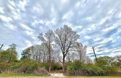 /international/us/2561-paw-paw-avenue-benton-harbor-mi-110100679314/?lang=zh-tw