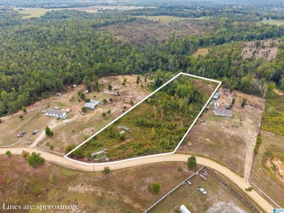 /international/us/0-road-county-road-341-lot-1-maplesville-al-110110372023/