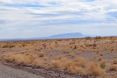 /international/us/rolling-hills-lot-124-san-antonio-nm-110107155170/