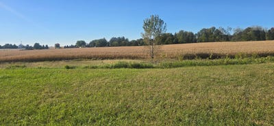 /international/us/tbd-lot-4-blk-1-3rd-avenue-se-harmony-mn-110102791635/