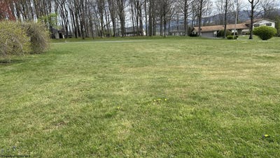 /international/us/kimberly-lane-kingwood-wv-110107267879/