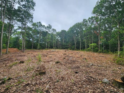 /international/us/262-route-81-killingworth-ct-110100974909/