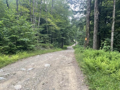 /international/us/old-town-way-lot-21-14-stephentown-ny-110119419589/