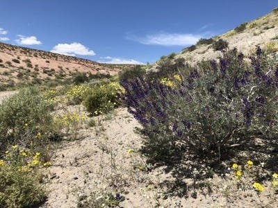 /international/us/pumice-mill-road-chalfant-valley-ca-110106847989/