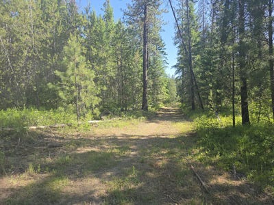 /international/us/xxx-hwy-395-loon-lake-wa-110100721621/?lang=en