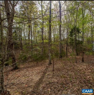 /international/us/turkeysag-trl-palmyra-va-110107281382/